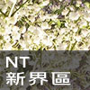 新界婚宴場地/NT wedding venues